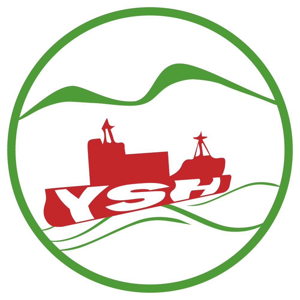 yshshopus.com